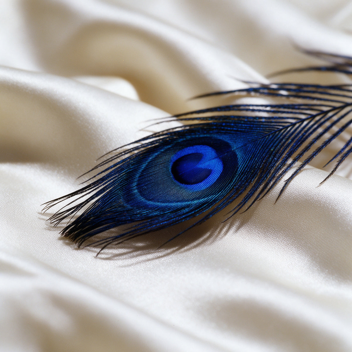 The Plume Cuff — 18K Gold Vermeil Feather Bangle with Royal Blue Lab Sapphire